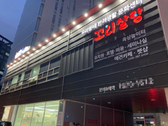 사진= 꼬리살랑 제공